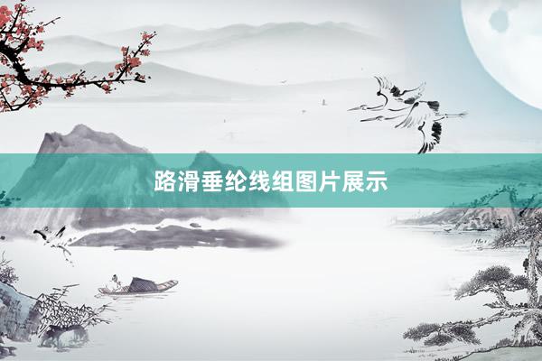 路滑垂纶线组图片展示