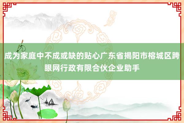 成为家庭中不成或缺的贴心广东省揭阳市榕城区跨眼网行政有限合伙企业助手